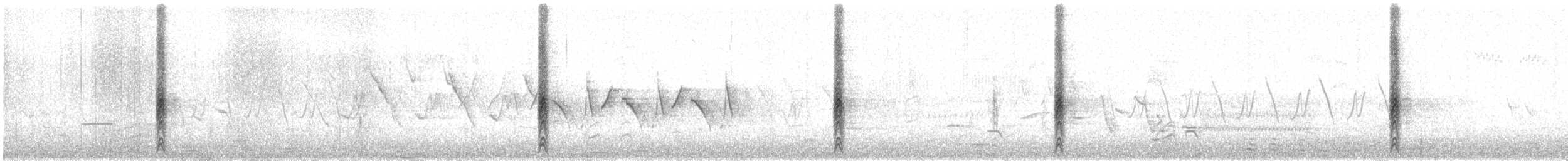 Red-winged Blackbird - ML637739753