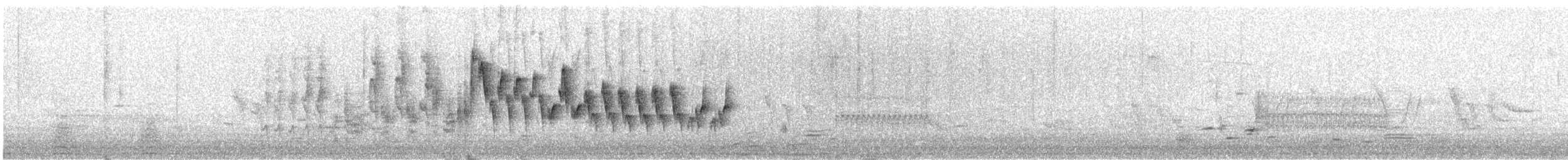 Northern House Wren - ML637739839