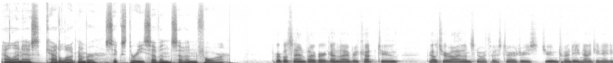 Purple Sandpiper - ML63774