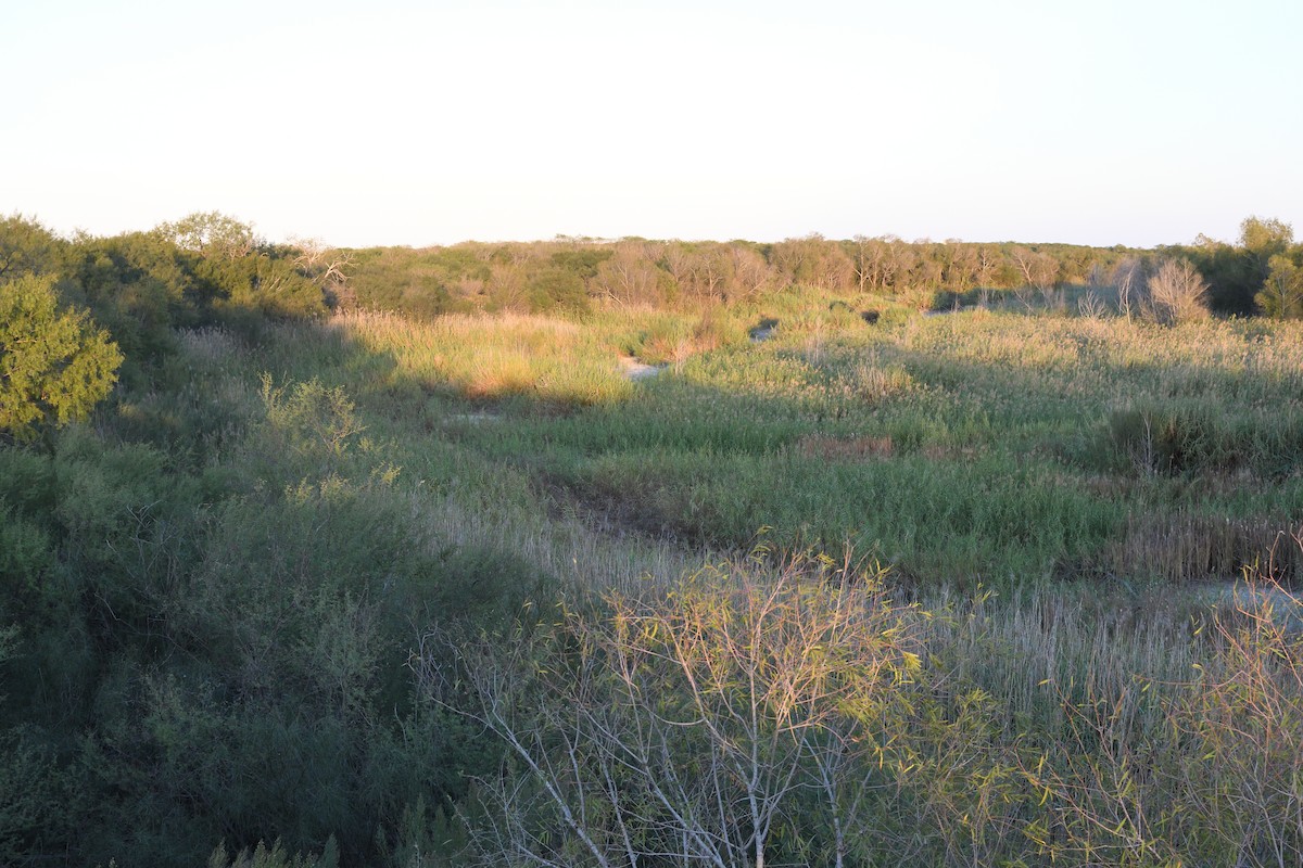 null - ML637740639