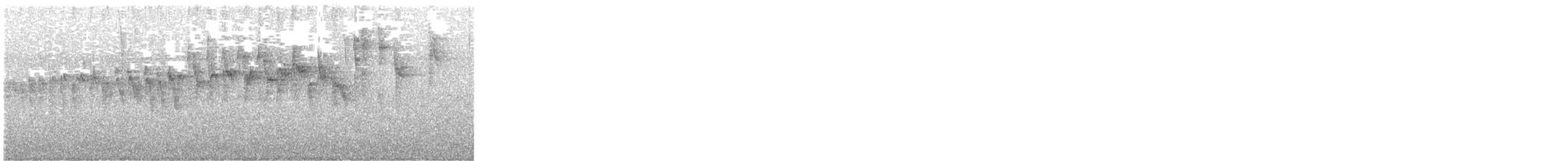 stripehodeparula - ML637740954