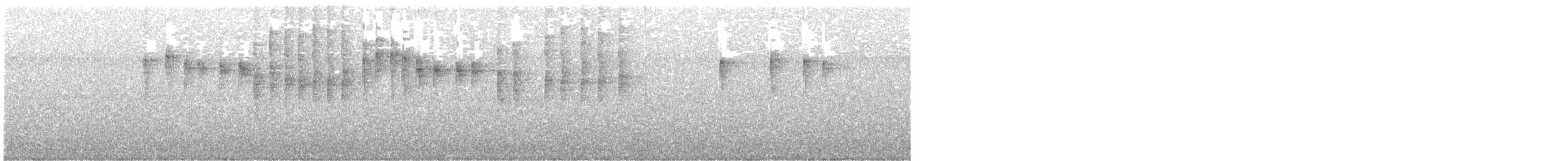 stripehodeparula - ML637740975