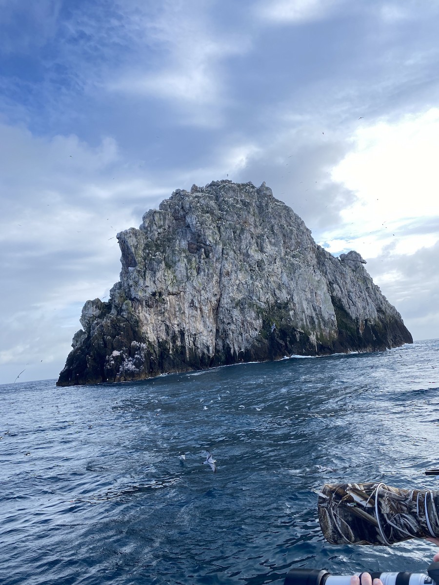 null - ML637741812