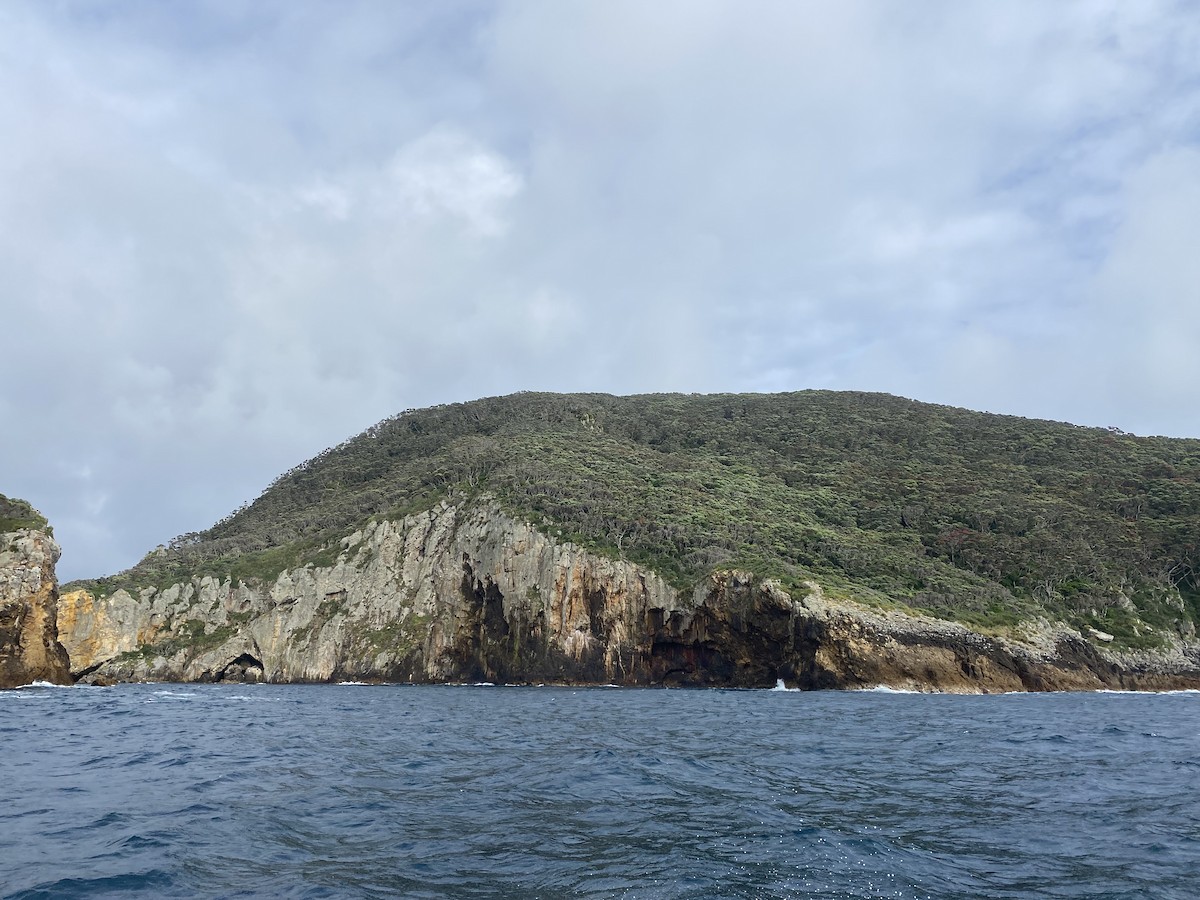 null - ML637741813