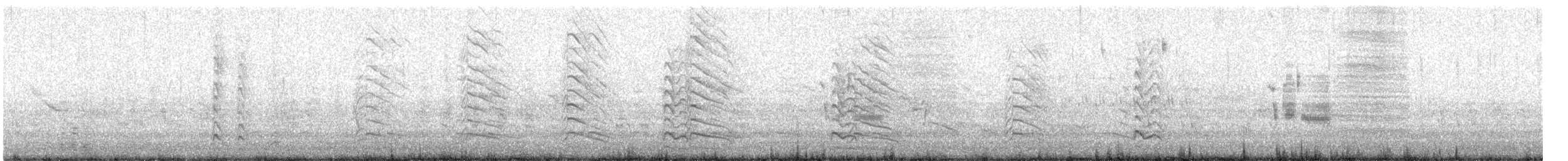 Antxeta mokogorri amerikarra - ML637743658