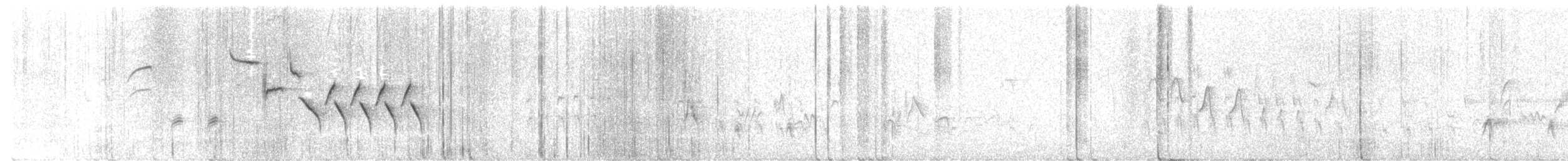Bewick's Wren - ML637744079