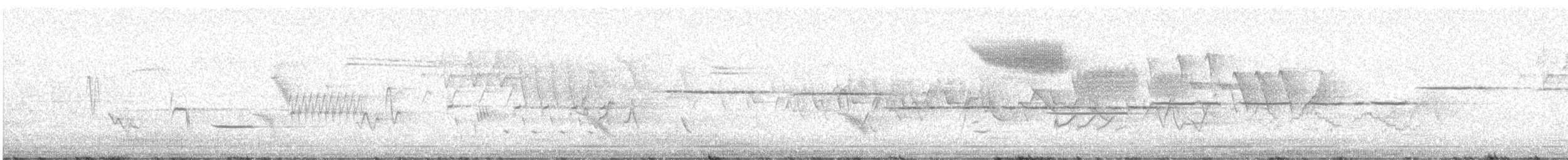 Brewster's Warbler (hybrid) - ML637744757