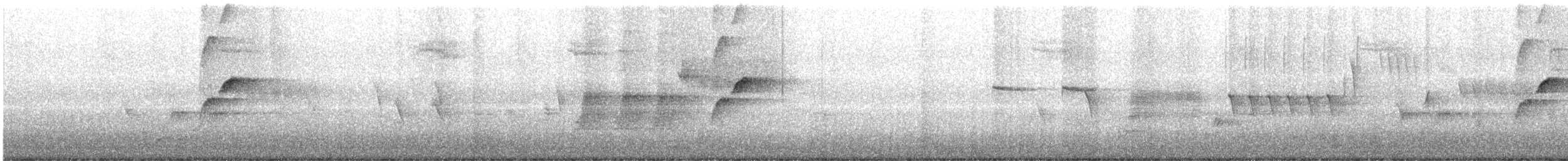 Western Flycatcher (Cordilleran) - ML637745066