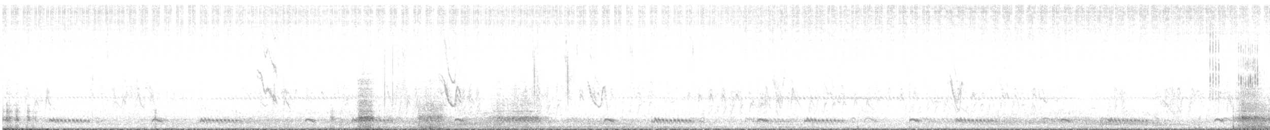 Black-chested Prinia - ML637746821