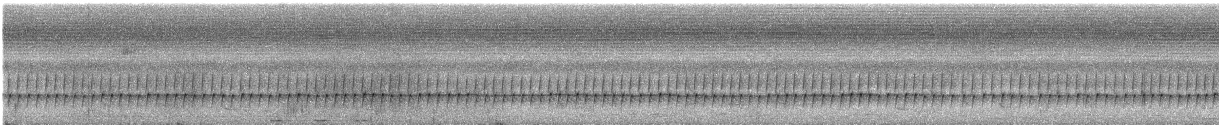 Jungle Prinia - ML637747150