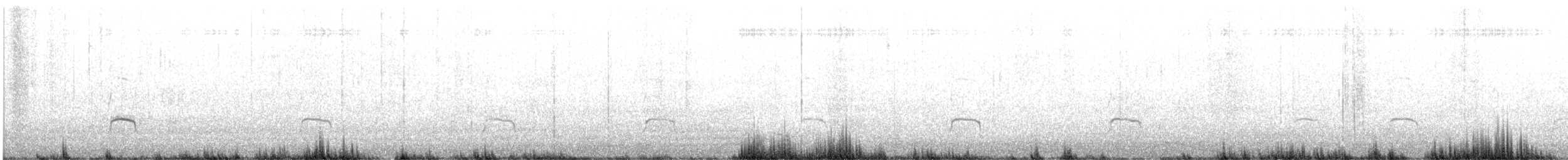Eurasian Oystercatcher - ML637747716