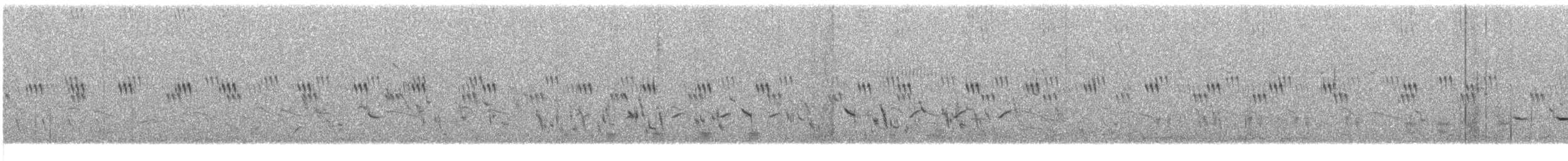 Plectrophane à ventre gris - ML637752167