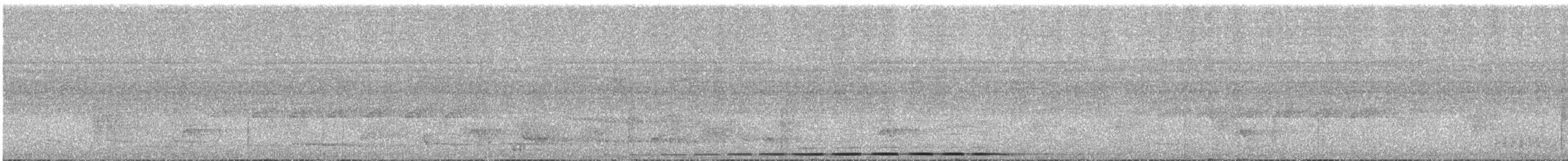 Variegated Antpitta - ML637753302