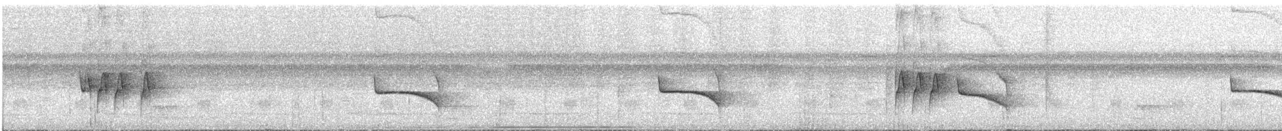 Dot-backed Antbird - ML637753347