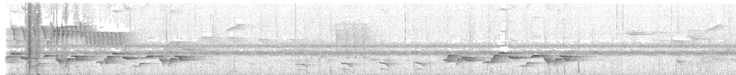 Uniform Antshrike - ML637753406