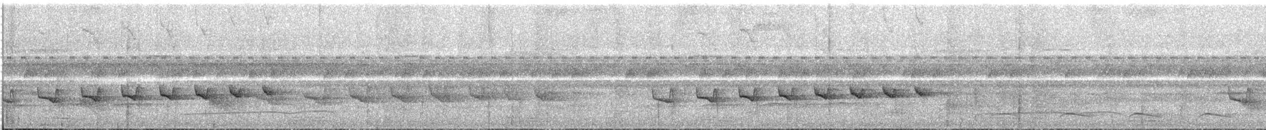 Long-winged Antwren - ML637754133