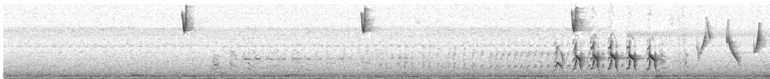 Chipiu noiroux - ML637757292