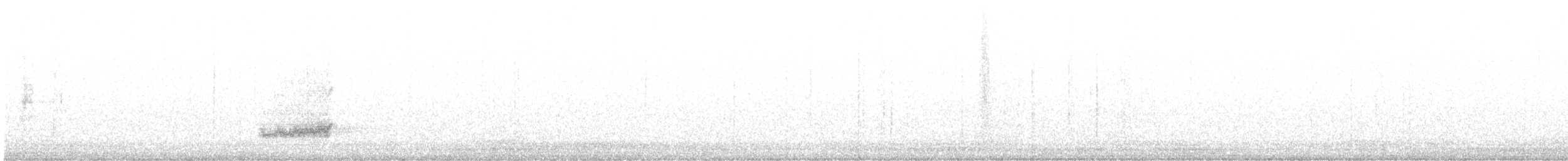 American Barn Owl - ML637757657