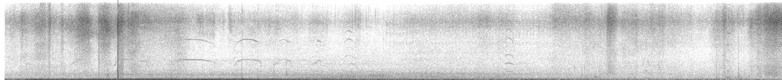 Short-billed Gull - ML637757901