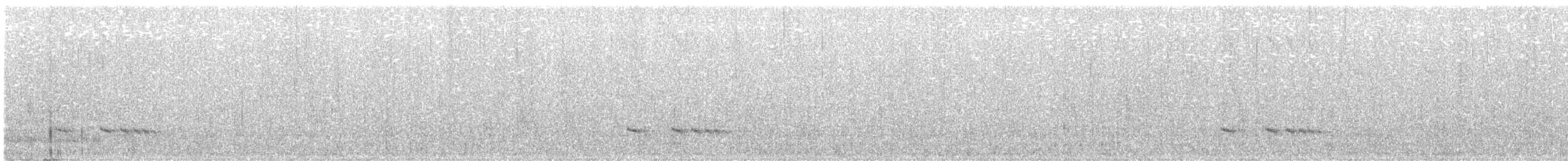 Equatorial Antpitta - ML637757953