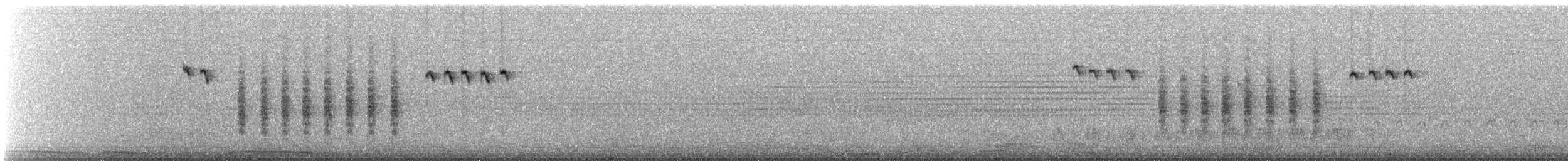 Black-tailed Gnatcatcher - ML637758080