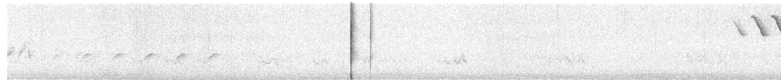 Northern Yellow Warbler - ML637758667