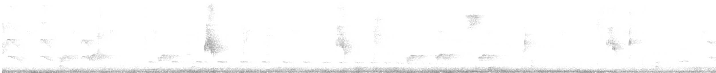 Scalloped Woodcreeper - ML637758702