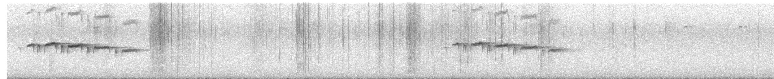 Squamate Antbird - ML637759515
