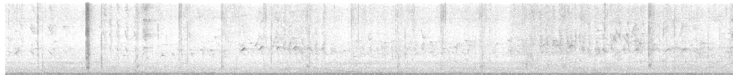Stripe-backed Wren - ML637762258