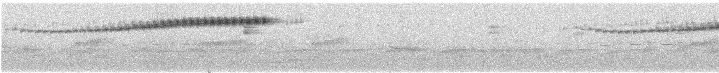 Buschstutzschwanz - ML637762567