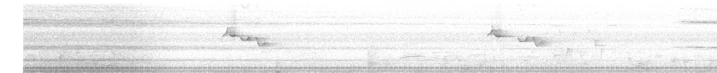 White-winged Tanager - ML637764076