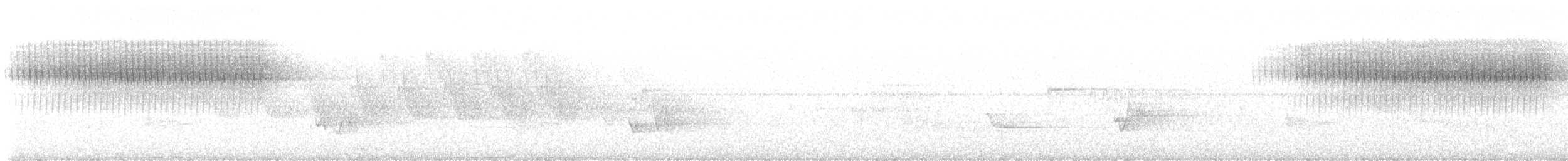 Worm-eating Warbler - ML637764417