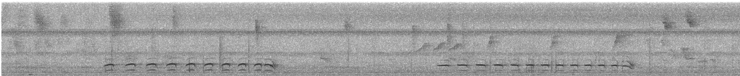 Plain-winged Antshrike - ML637764450