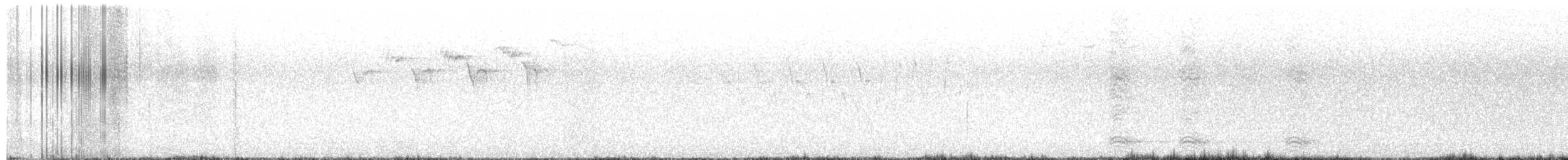 American Crow - ML637765032