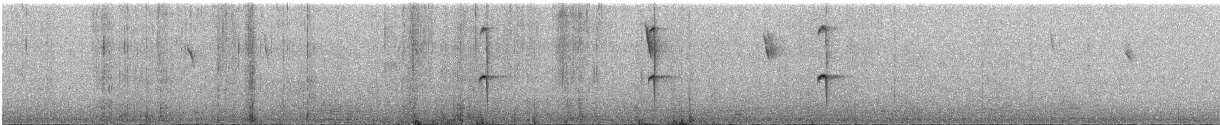 Колібрі велетенський - ML637767076