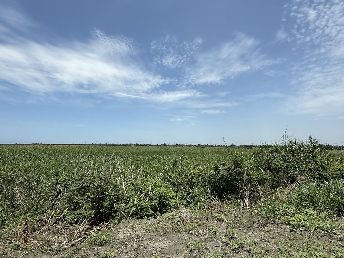 null - ML637770930