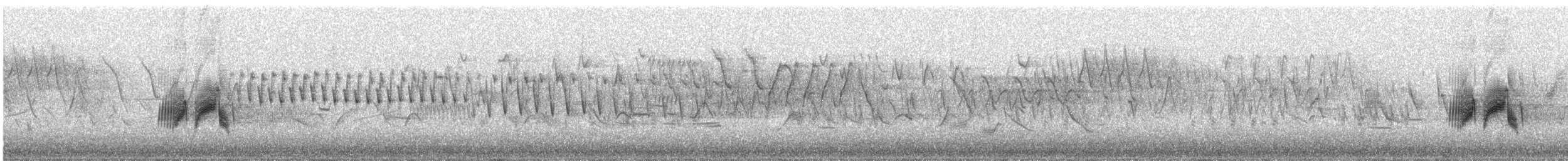 Піві-малюк вільховий - ML637770987