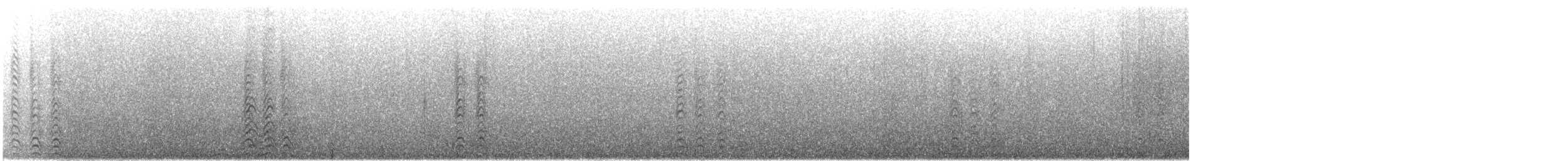 Black-tailed Gull - ML637772294