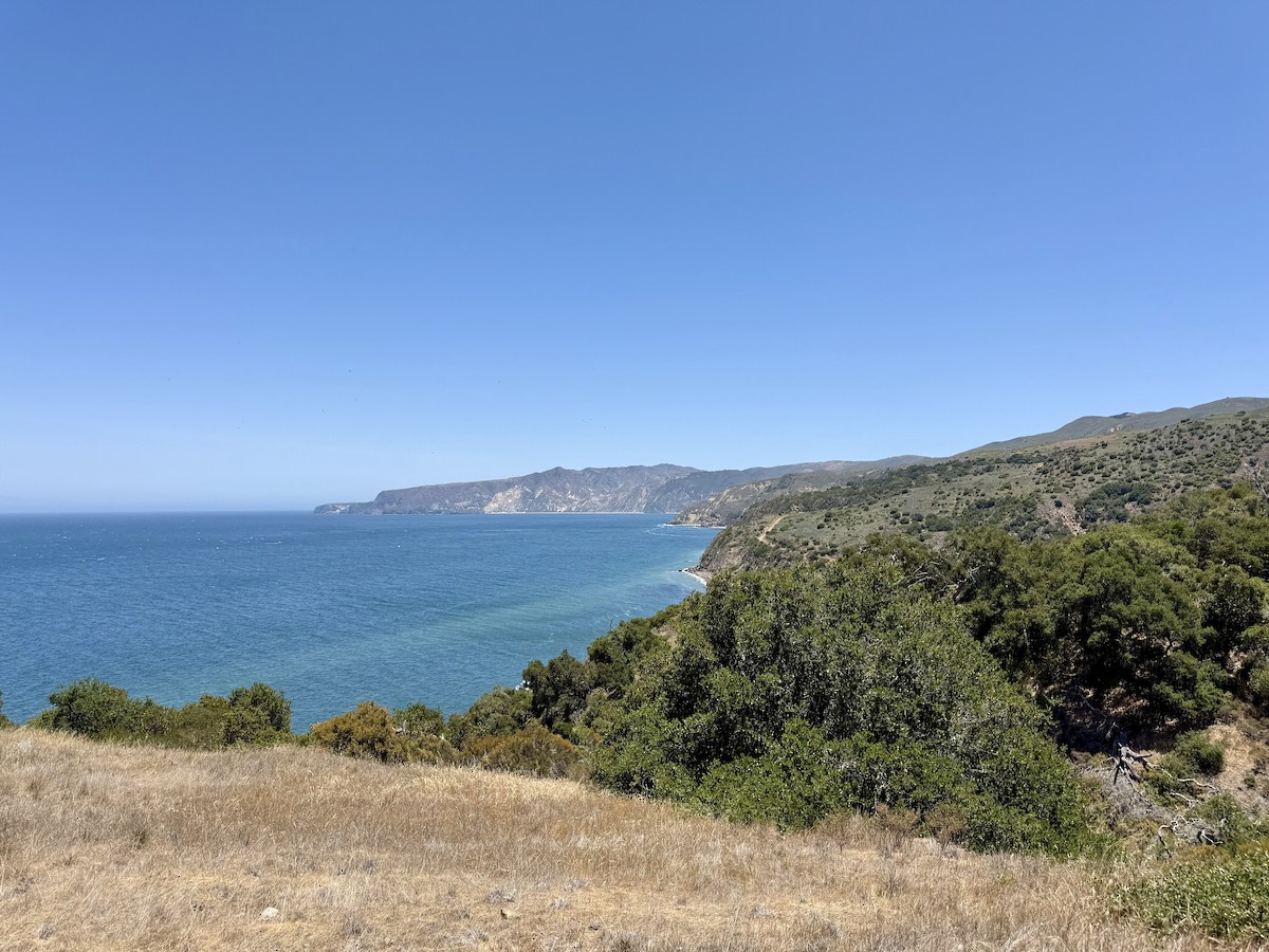 null - ML637773216