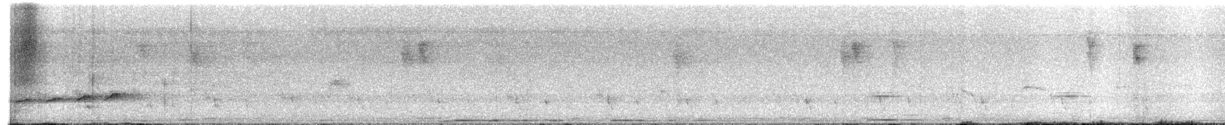 Fork-tailed Drongo-Cuckoo - ML637773634