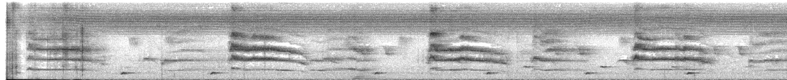 Indian Pitta - ML637773678