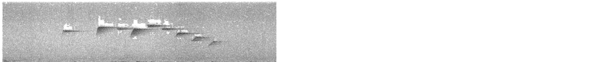 Louisiade Fantail - ML637773875