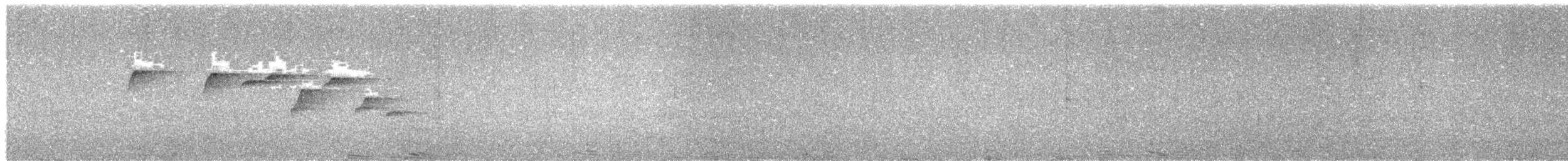 Louisiade Fantail - ML637773876