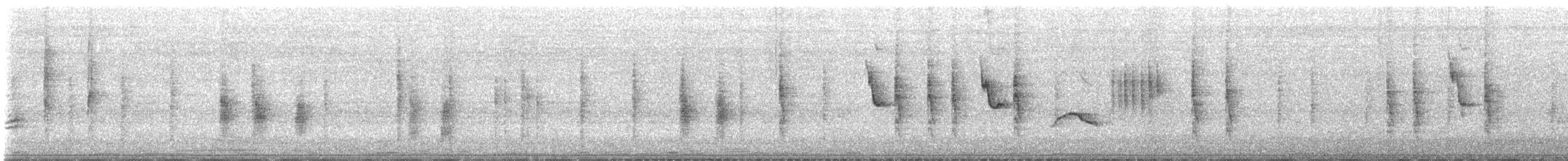 Blyth's Reed Warbler - ML637775247