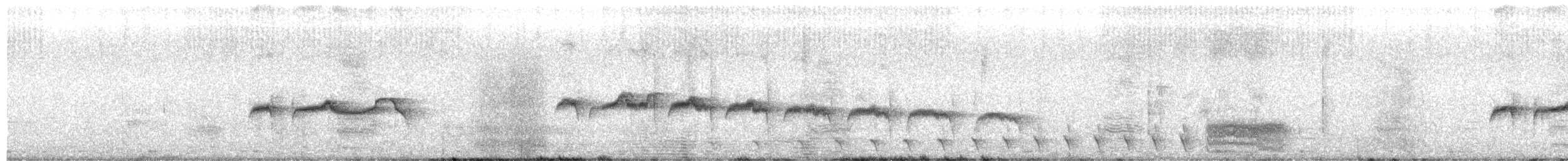 Stripe-backed Antbird - ML637775824