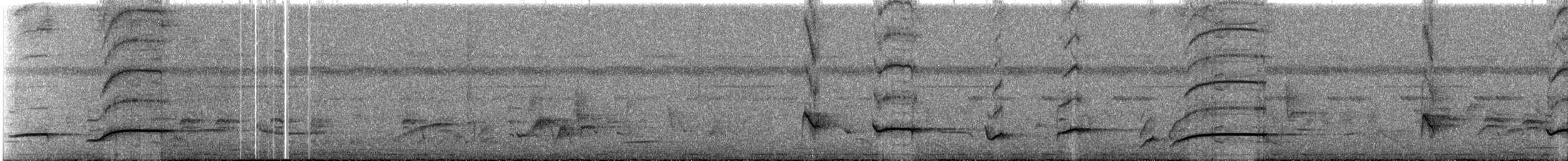 Tanzanian Illadopsis - ML637776548