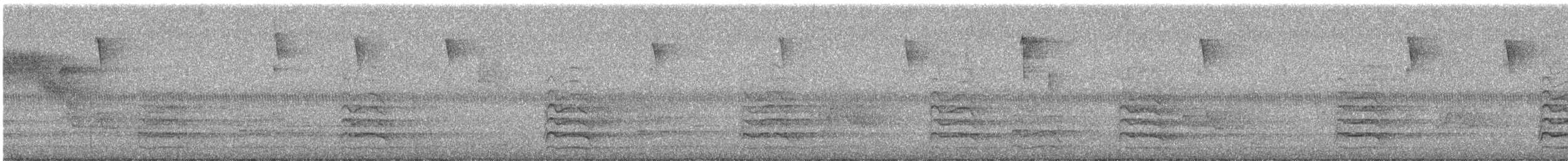 Antxeta mokogorri amerikarra - ML637777547