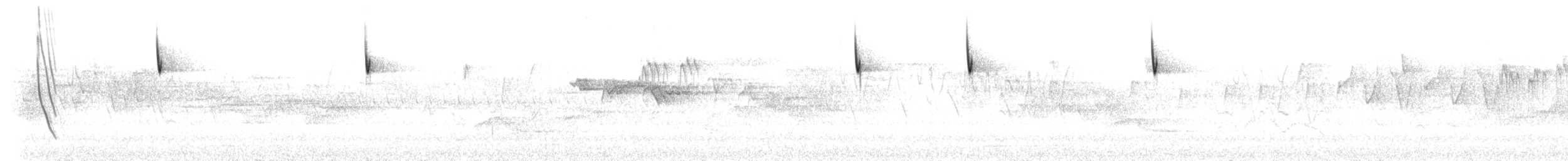 Blyth's Leaf Warbler - ML637777908