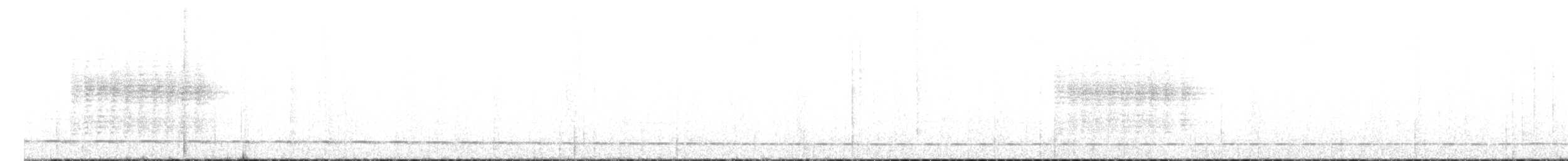 Schwartz's Antthrush - ML637778424