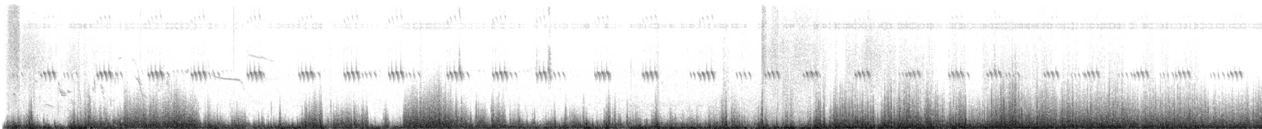 Plectrophane à ventre gris - ML637779812